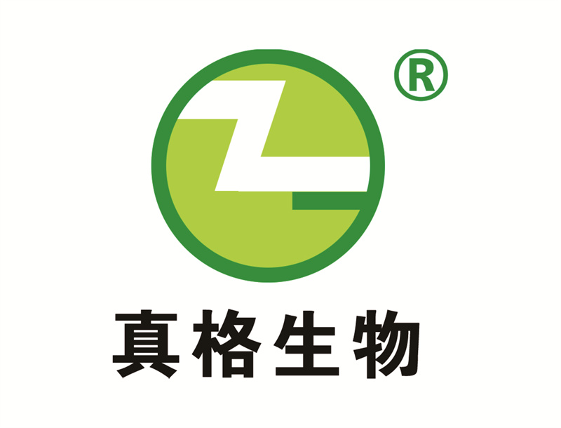 145肇慶真格