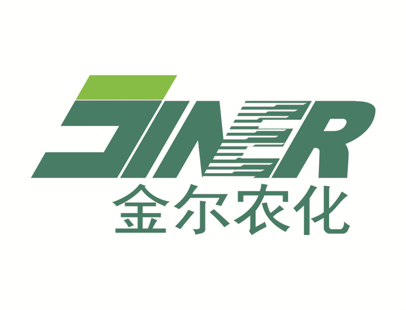 062青島金爾