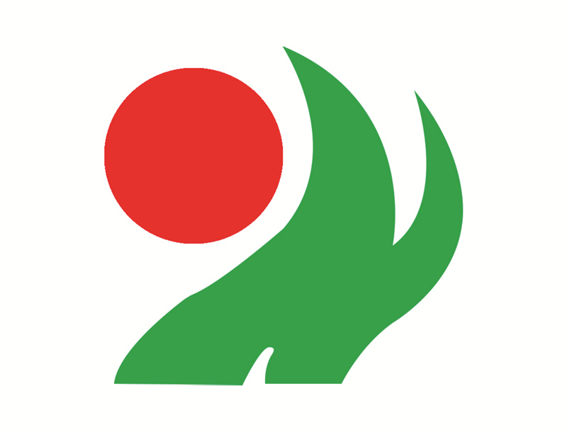 046山東華陽(yáng)